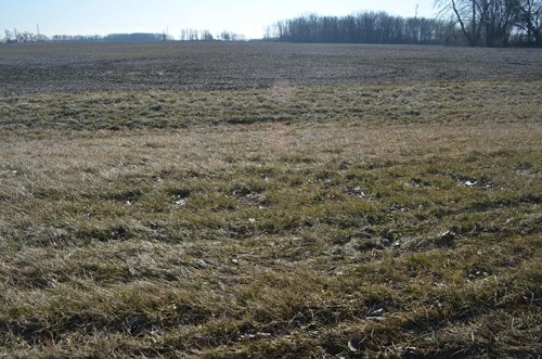 Property photo 10 - East Allen County - 55 Acre Land Auction